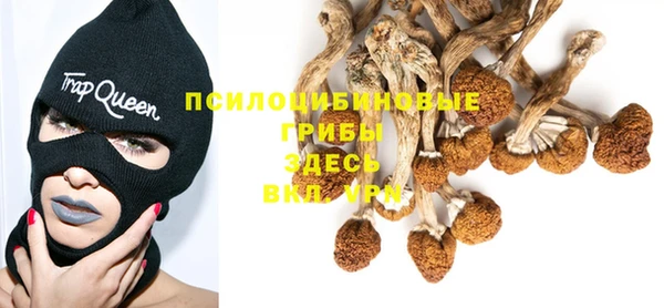apvp Алексин