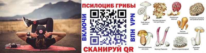 как найти наркотики  Карачаевск  Галлюциногенные грибы GOLDEN TEACHER 